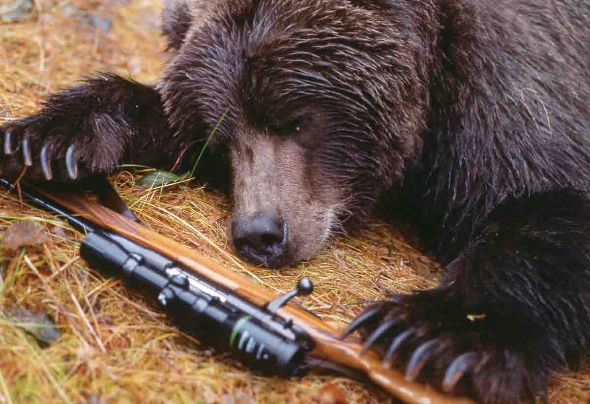 Terry’s .300 Weatherby Magnum, one of the last made in Germany by Sauer, was a lucky rifle. Although its 24-inch barrel never delivered the .300’s claimed ballistics, it was along on some memorable hunts, including taking this Alaska brown bear on  Montague Island at 17 yards and closing.